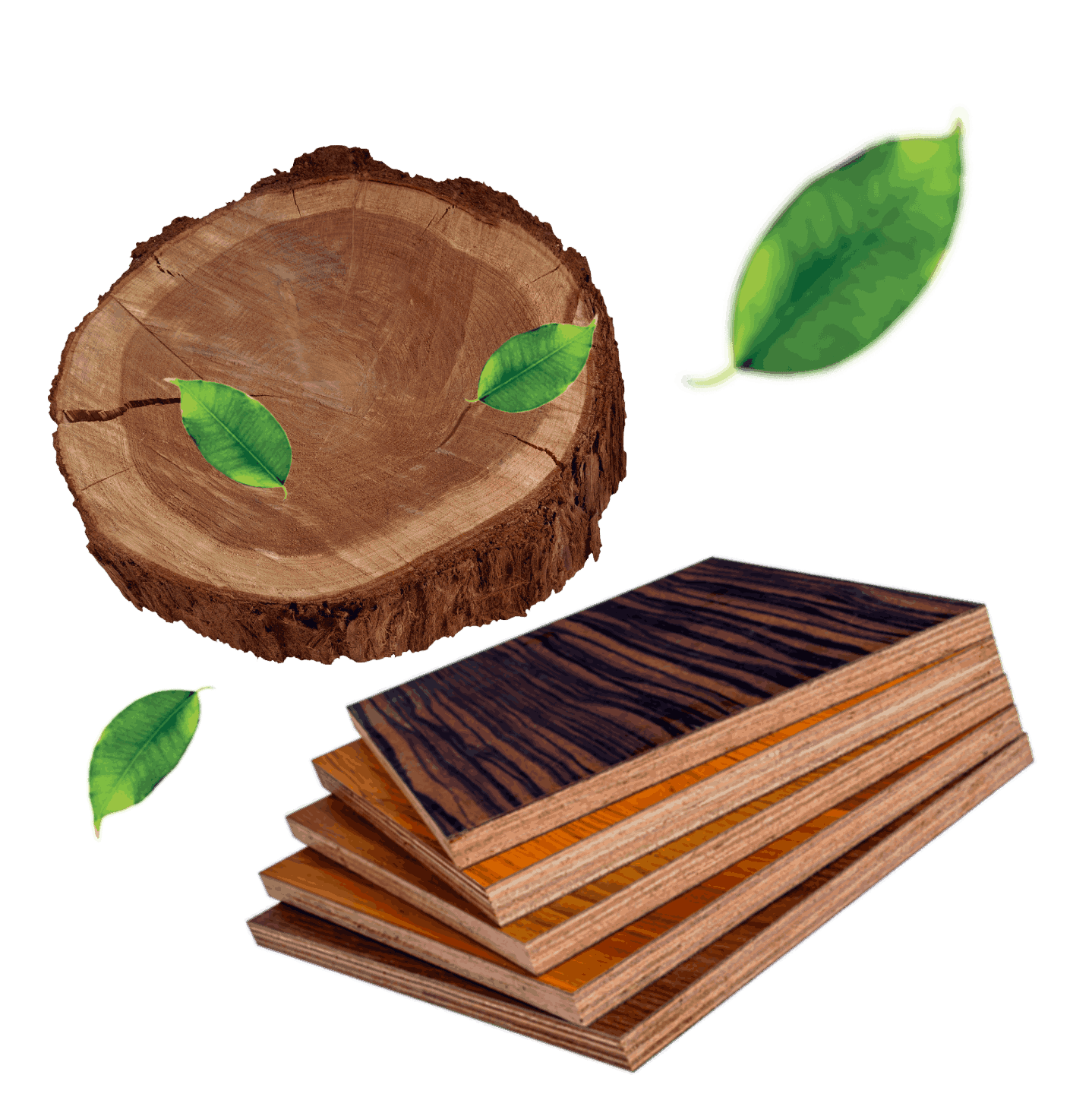 Marine Grade Plywood